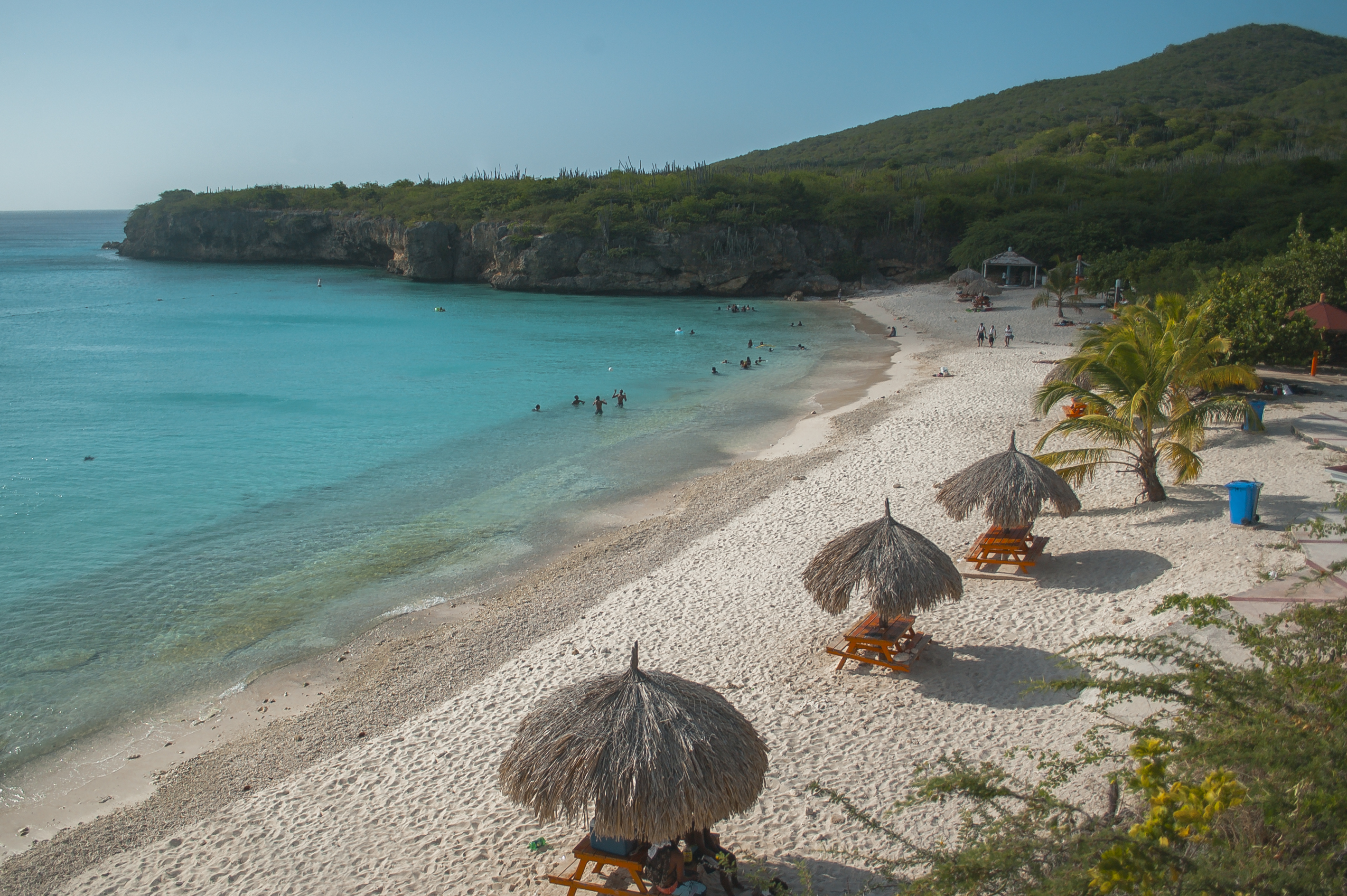 Kenepa Grandi (Grote Knip)