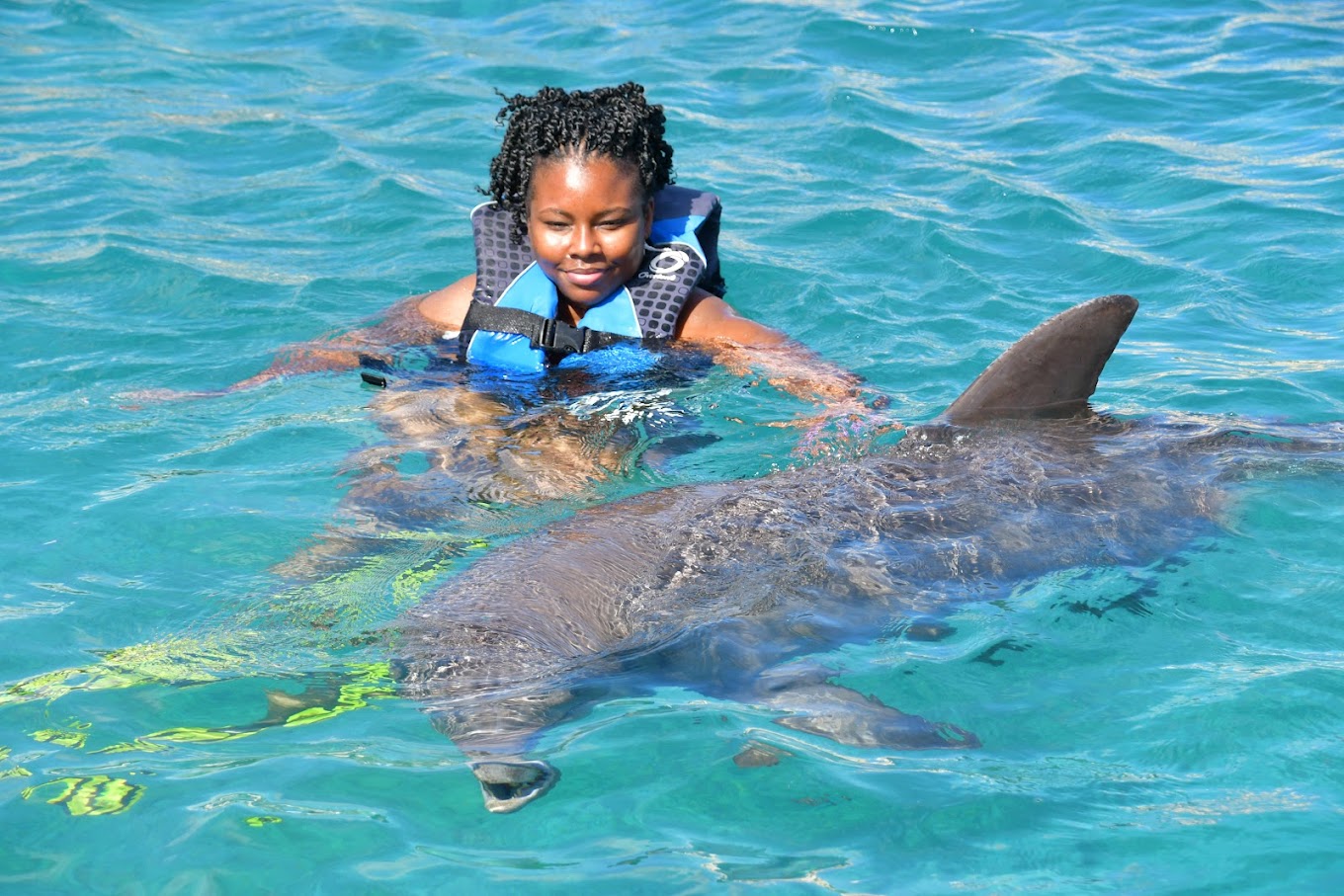 Dolphin Academy – Seaquarium